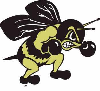 Mistakes costly again as Jackets drop second straight on the gridiron