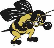 Yellow Jackets