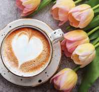 Hoen’s opens coffee shop inside the garden center