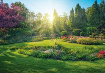 A spring lawn revitalization strategy