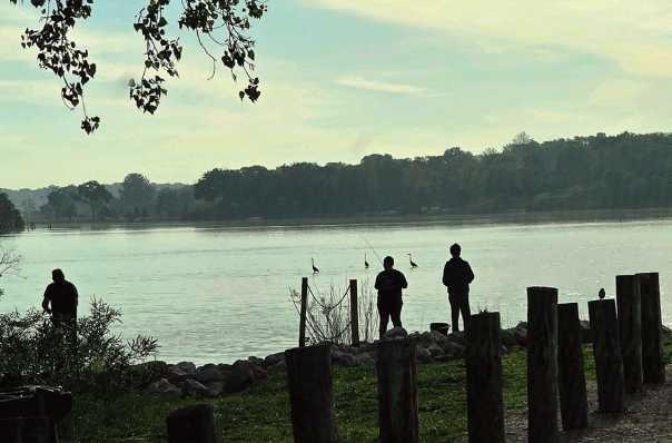 Local fishermen at Orleans Park, with blue heron cranes in the background, taken by Sharon Black on May 26.