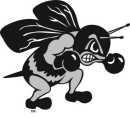 PHS volleyball Perrysburg girls varsity volleyball team defeated Anthony Wayne in three games, 25-15, 25-18, 25-17; and then defeated Northview 25-21, 21-25, 25-21, 25-17.