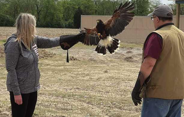 Nature’s Nursery and Ohio School of Falconry offers chance to win a unique falconry experience