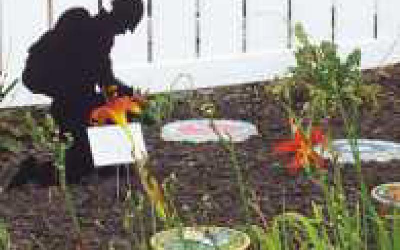 The Honor Garden features a dedication plaque and hand-painted emblems of military branches.