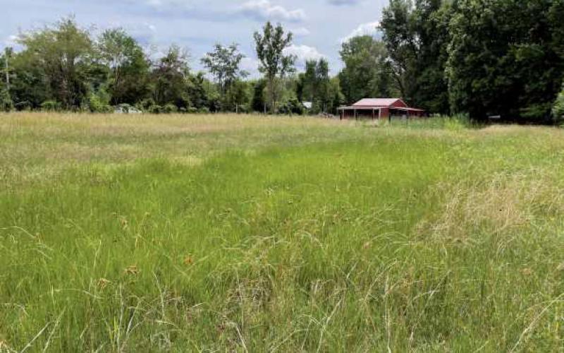 The Nature Conservancy recently added 14 acres to the Kitty Todd Nature Preserve.