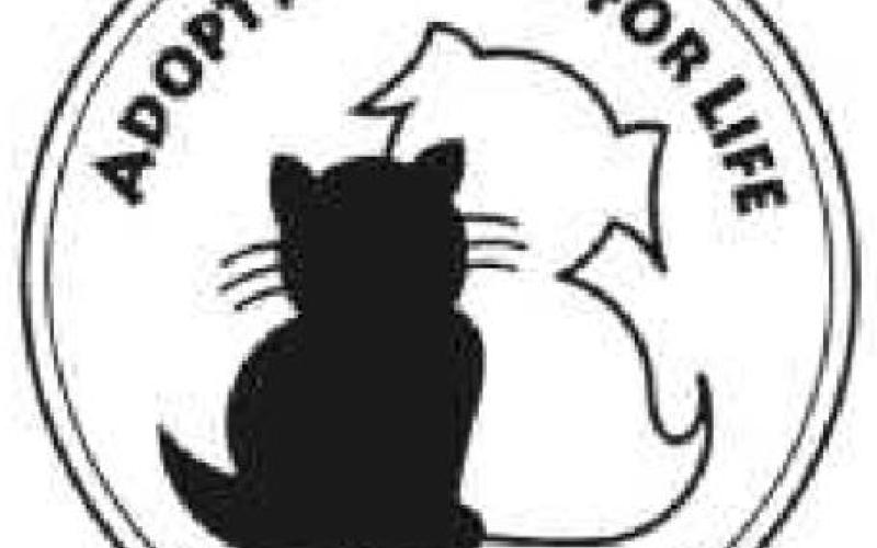 Wood County Humane Society to hold fundraiser Saturday, February 27