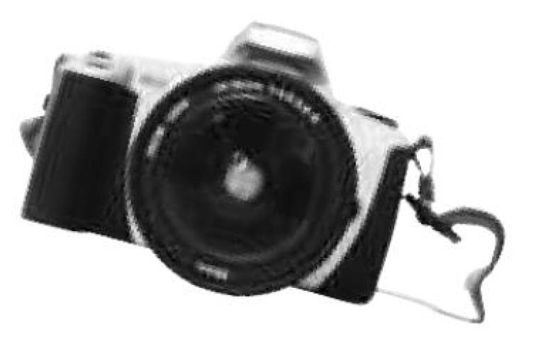 Alt Text for Image