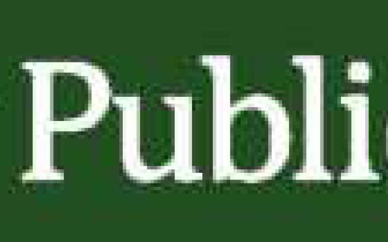 Way Public Library