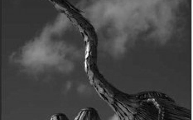 Winning photographs named in Perrysburg Sculpture Walk Winter Photo Contest