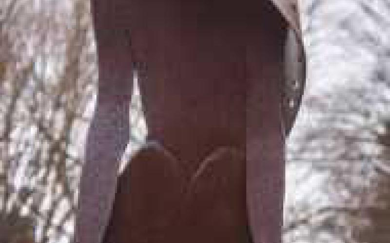 Winning photographs named in Perrysburg Sculpture Walk Winter Photo Contest