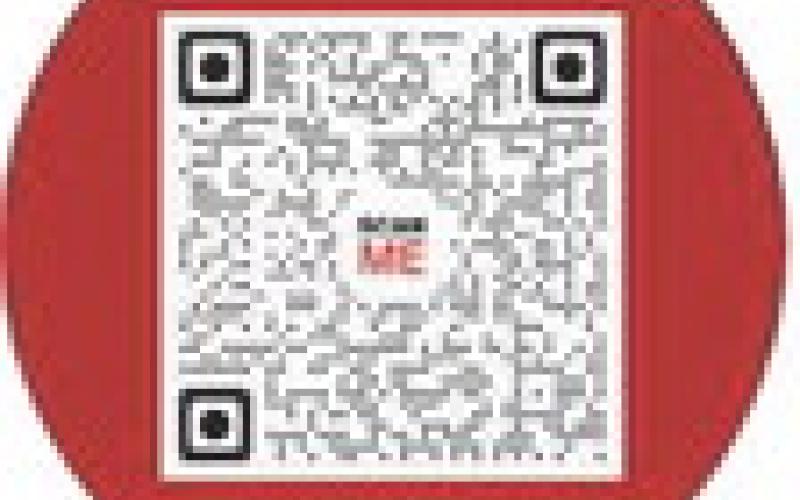 Alt Text for Image