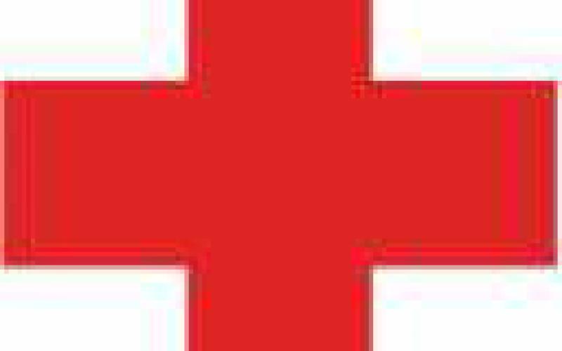 St. Rose School to host pint-size hero blood drive on Saturday, February 4