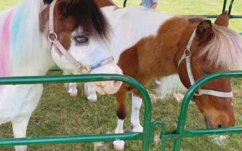 Inclusion Resource Fair draws families to Rotary Park