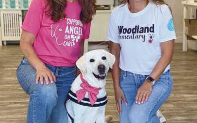 Angel the dog with Angela Hill (left), founder and managing partner of Wellaroma, and Anne Gerwin (right), speech-language pathologist at Woodland Elementary and host/main handler for Angel.