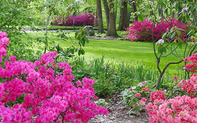 TBG Artist Village hosts open houses