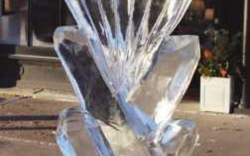 Harsh January weather puts Winterfest on ice