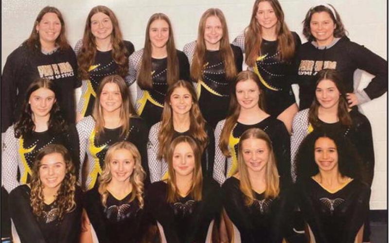 The Perrysburg High School gymnastics team.