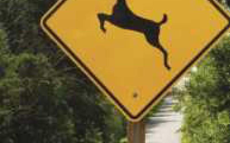 Ohio Highway Patrol warns motorists to look out for deer