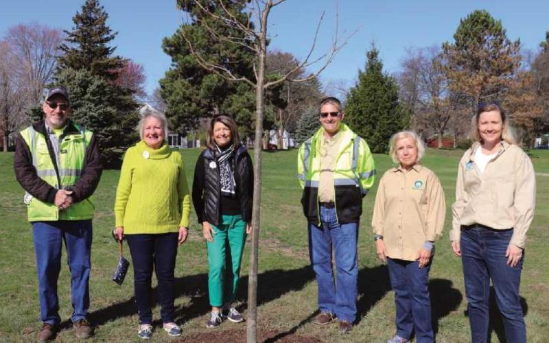 City representatives plant tree to honor Arbor Day