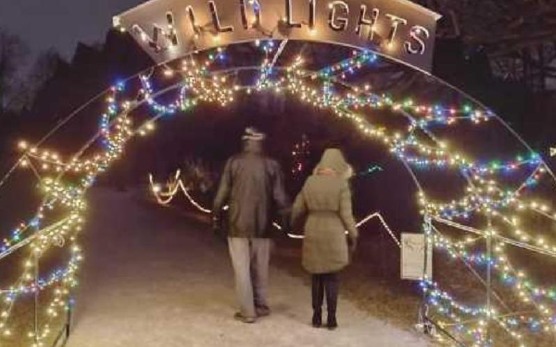 W.W. Knight Preserve aglow with lighted animal displays
