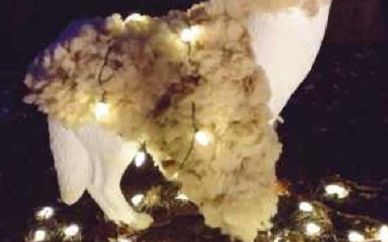 W.W. Knight Preserve aglow with lighted animal displays