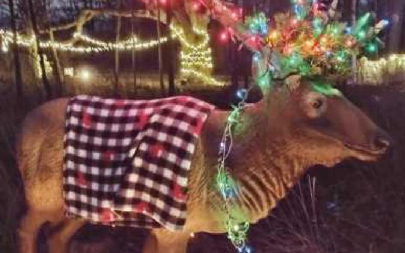 W.W. Knight Preserve aglow with lighted animal displays