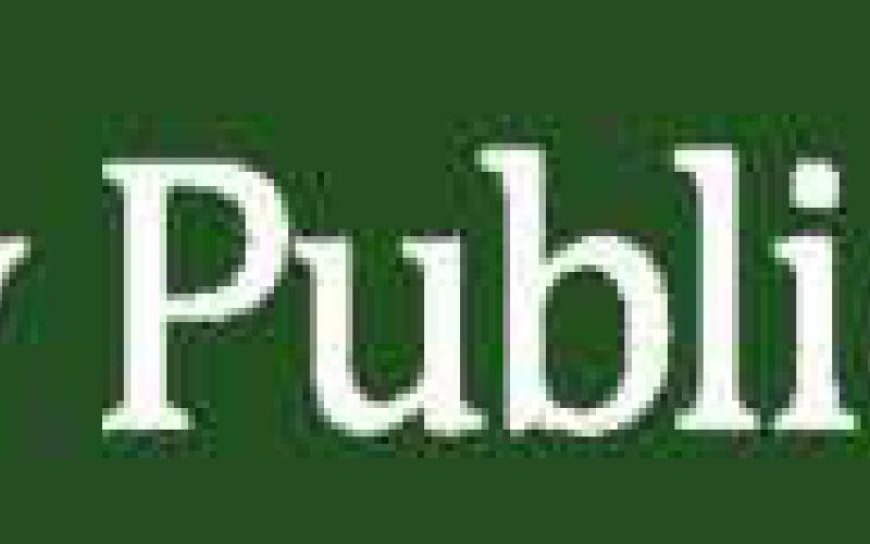 Way Public Library