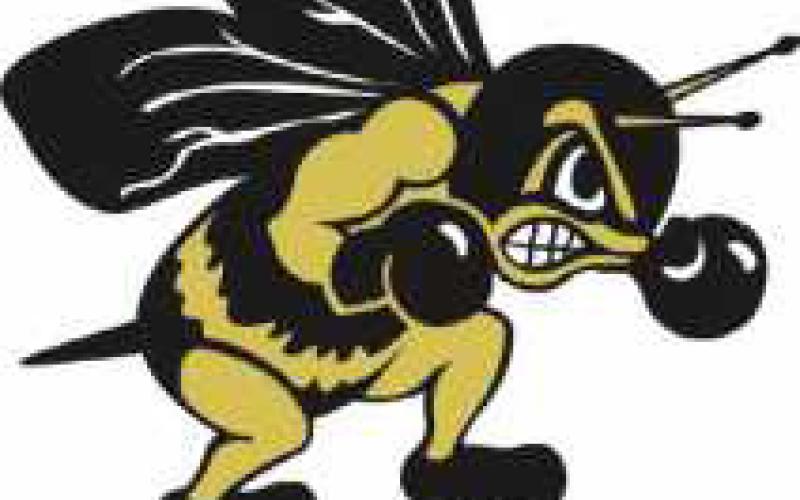 Yellow Jackets