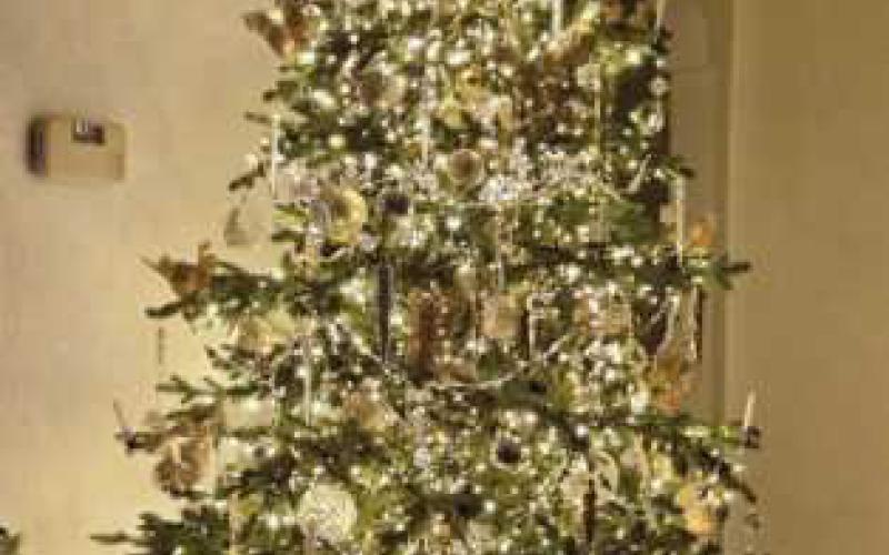 Messenger sports reporter takes top honors in local holiday decorating contest