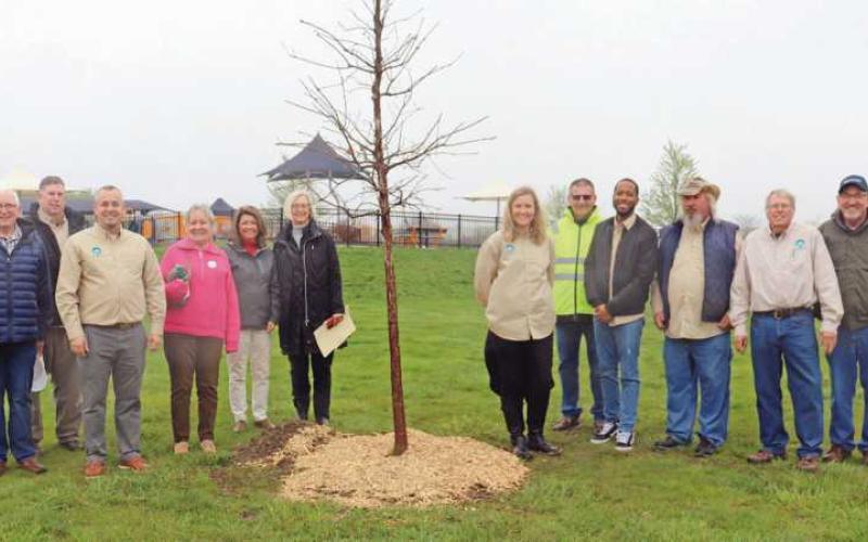 Tree planted at Rotary Park on Arbor Day