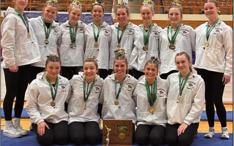 PHS gymnasts place ninth at state competition