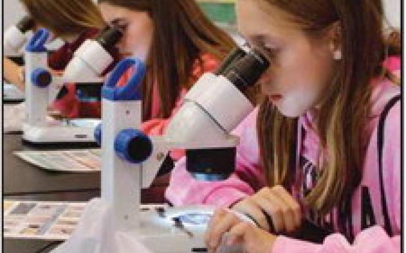 Saint Rose seventh graders enjoy educational experience at Ohio State University Stone Lab