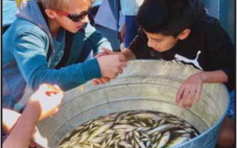 Saint Rose seventh graders enjoy educational experience at Ohio State University Stone Lab