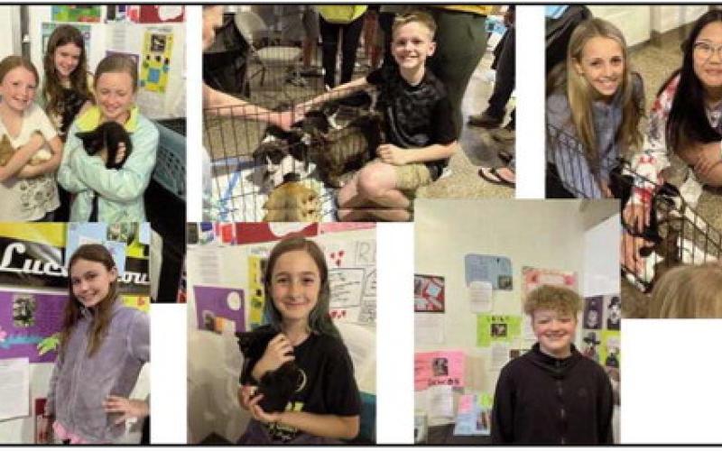 HPI students help 11 pets find forever homes