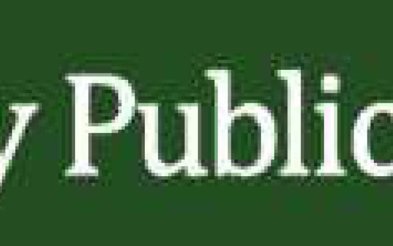 Way Public Library