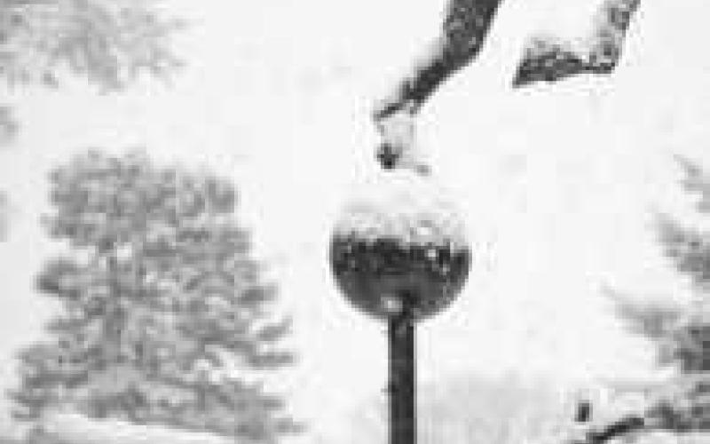 Perrysburg Sculpture Walk winter photo contest deadline is February 28