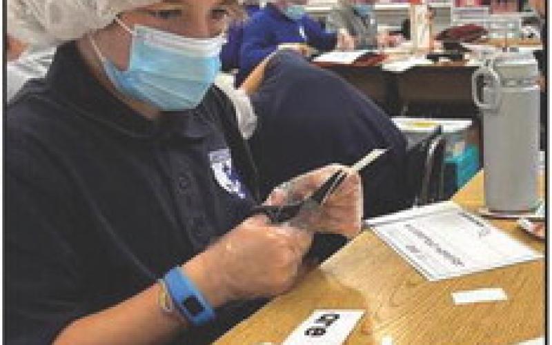 St. Rose students participated in many STEM-related activities throughout the school year to qualify for the Thomas Edison Award for Excellence.