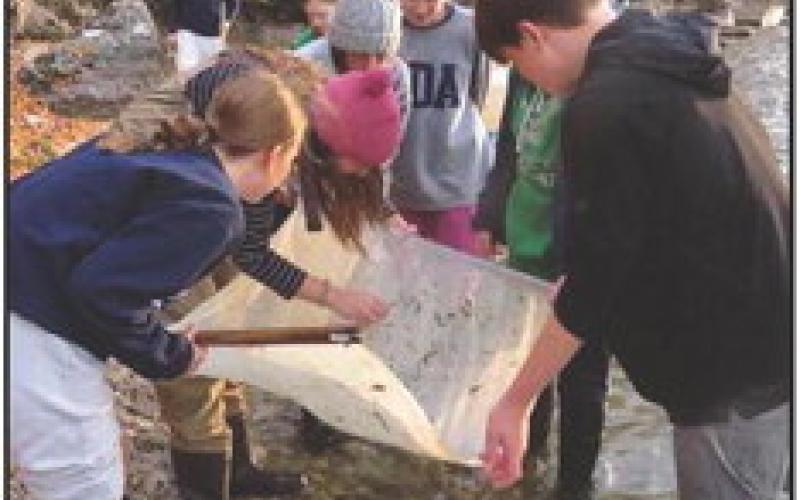 St. Rose School receives Edison Award for STEM education, student research