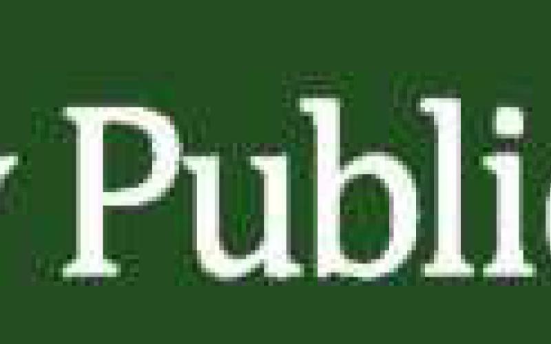 Way Public Library