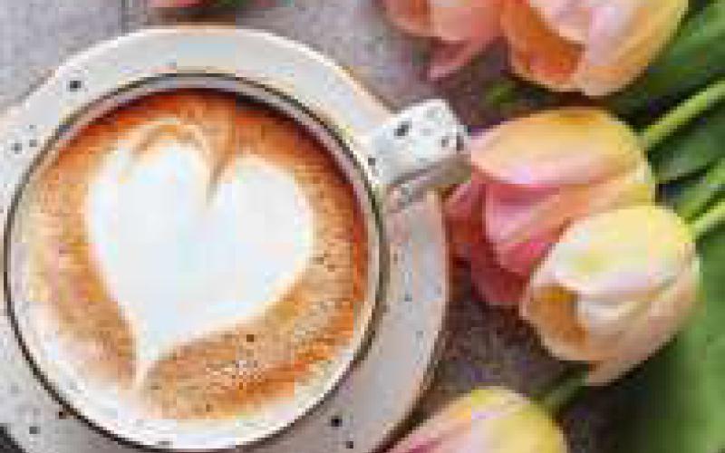 Hoen’s opens coffee shop inside the garden center