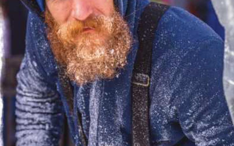 Be sure to see these commissioned ice sculptures
