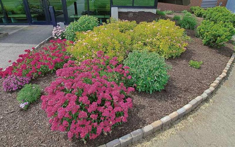 Country Garden Club of Perrysburg accepting 2025 project proposals