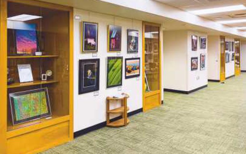 Toledo Camera Club exhibit on display at Way through Oct. 31