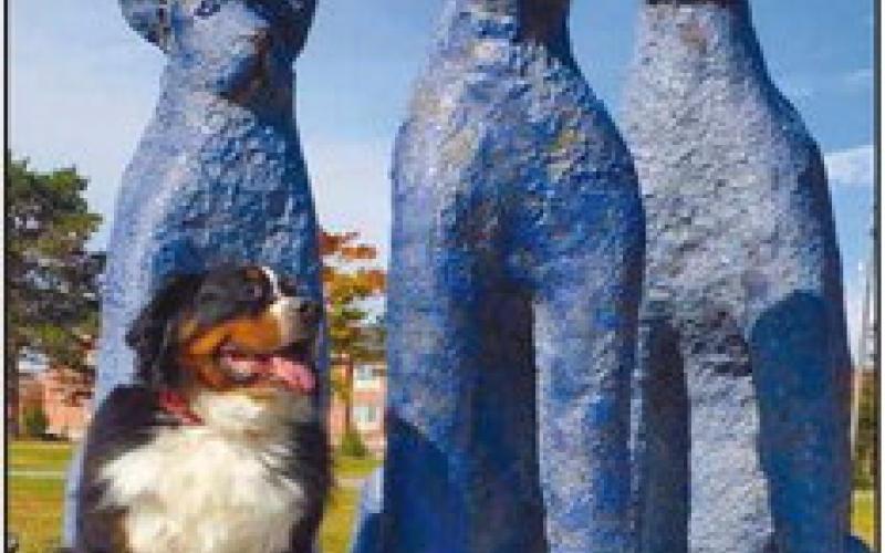 Life imitating art at sculpture walk