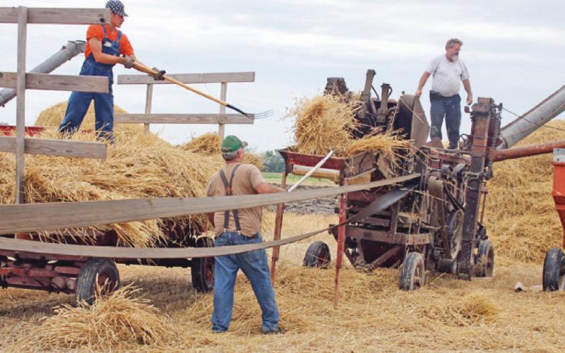 Five Point Steam Threshers celebrate 60 years