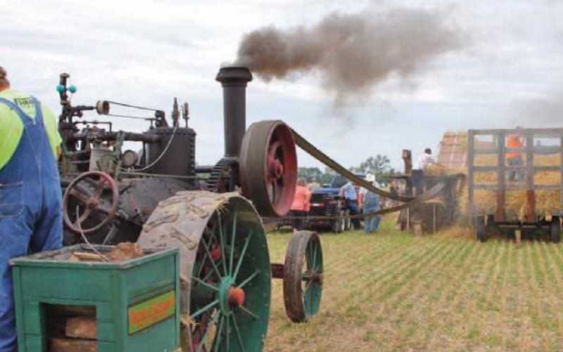 Five Point Steam Threshers celebrate 60 years