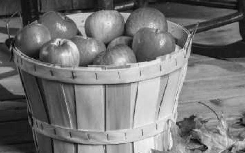 MacQueen Orchards’ fall festival returns