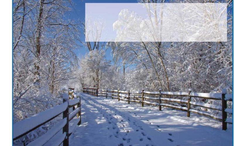 Live in each season as it passes; breathe the air, drink the drink, taste the fruit, and resign yourself to the influence of the earth. —Henry David Thoreau
