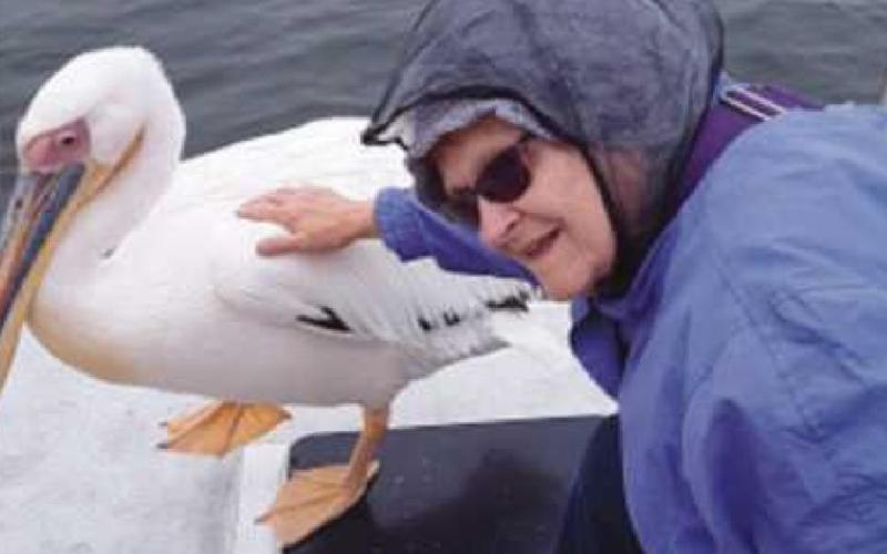 Judy Pfaffenberger sailing with a pelican in Namibia.