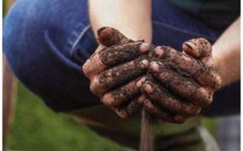 How to prepare soil for spring planting